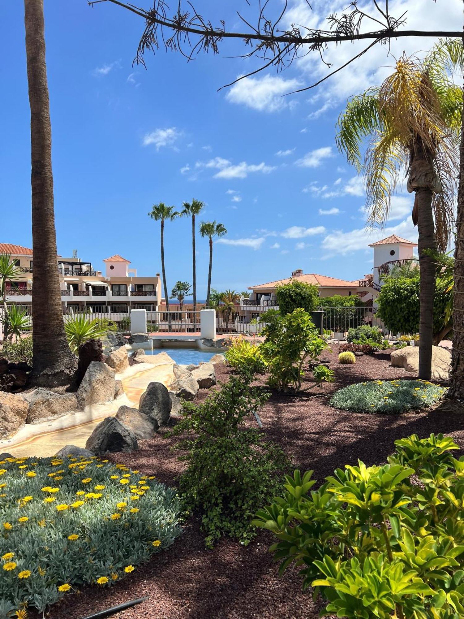 Apartamento Albatros Golf Del Sur Apt 257 サンミゲル・デ・アボナ エクステリア 写真